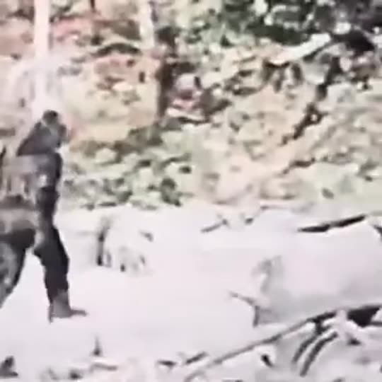 Extracted source frame at 0.745 seconds