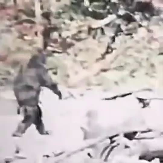 Extracted source frame at 2.235 seconds