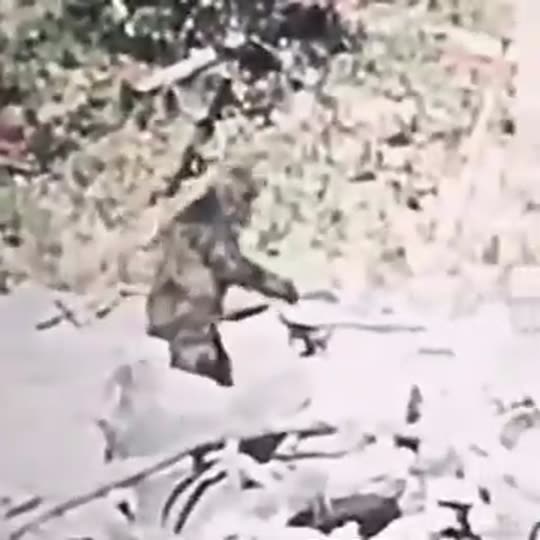 Extracted source frame at 5.215 seconds