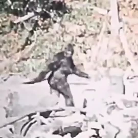 Extracted source frame at 6.705 seconds
