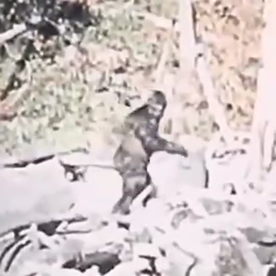 Extracted source frame at 8.195 seconds