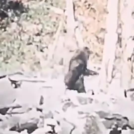 Extracted source frame at 9.685 seconds