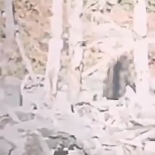 Extracted source frame at 14.155 seconds