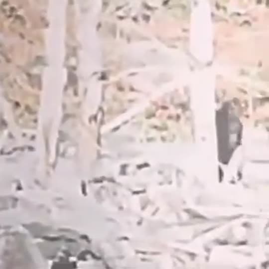 Extracted source frame at 15.645 seconds